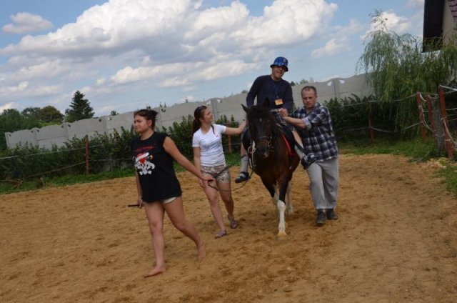 Turnus2015